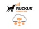 Ruckus IoT Controller