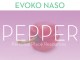 Evoko Naso Pepper Licentie