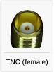 TNC (female)